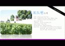 와인과 소물리에 (WiNe & Sommellerie) 5페이지