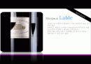 와인과 소물리에 (WiNe & Sommellerie) 8페이지