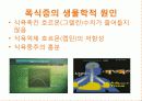 폭식증[addephagia 暴食症 신경성 폭식증]  13페이지