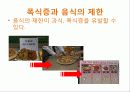폭식증[addephagia 暴食症 신경성 폭식증]  14페이지