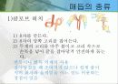 억제대(최종) 17페이지
