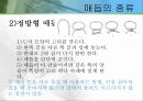 억제대(최종) 18페이지