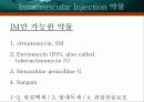 근육주사IM 7페이지