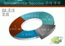 근육주사IM 10페이지
