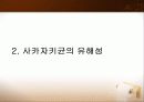 사카자키균 (Enterobacter sakazakii) 6페이지
