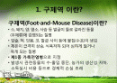 구제역(Foot and Mouse Disease)의 이해 2페이지