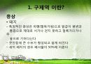 구제역(Foot and Mouse Disease)의 이해 8페이지