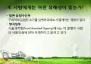 구제역(Foot and Mouse Disease)의 이해 15페이지