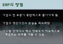 전사적 자원관리 ERP[enterprise resource planning] 13페이지