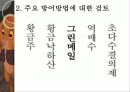 M&A 정글게임 17페이지