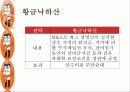 M&A 정글게임 19페이지