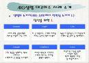 AIG생명데코마스사례분석 10페이지