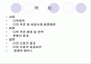 CI의 사례분석 조사 [에넥스] 2페이지