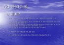 하나로텔레콤DECOMAS 4페이지