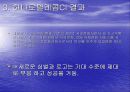 하나로텔레콤DECOMAS 9페이지