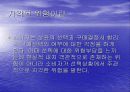 지각된위험과위험감소전략_최종본 3페이지