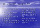 지각된위험과위험감소전략_최종본 9페이지