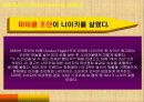 STP-나이키 12페이지