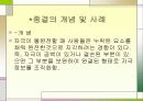 조직화_소비자행동분석1 6페이지