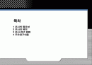 [마케팅] 서민층을 위한 미래의 실버타운  2페이지