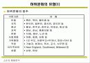 하위문화 유형과 분석내용 4페이지