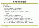 하위문화 유형과 분석내용 6페이지