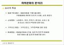 하위문화 유형과 분석내용 8페이지