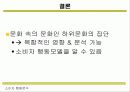 하위문화 유형과 분석내용 9페이지