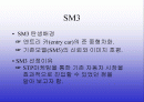 르노 삼성자동차의 STP 2페이지