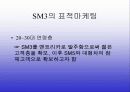 르노 삼성자동차의 STP 6페이지