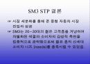 르노 삼성자동차의 STP 8페이지