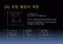 운동과정의 측정ppt(운동제어와 운동학습) 13페이지