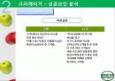 크라제버거(Krazeburger) 마케팅 성공요인(경쟁력, 시장변화) 및 전략 분석(STP, 4P, SWOT) 과 향후 전망 20페이지