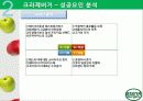 크라제버거(Krazeburger) 마케팅 성공요인(경쟁력, 시장변화) 및 전략 분석(STP, 4P, SWOT) 과 향후 전망 22페이지