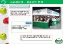 크라제버거(Krazeburger) 마케팅 성공요인(경쟁력, 시장변화) 및 전략 분석(STP, 4P, SWOT) 과 향후 전망 25페이지