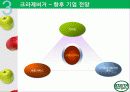 크라제버거(Krazeburger) 마케팅 성공요인(경쟁력, 시장변화) 및 전략 분석(STP, 4P, SWOT) 과 향후 전망 29페이지