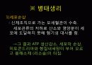 쇼크 대상자 간호 (쇼크 병태생리, 쇼크 대상자 간호) 5페이지