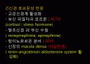 쇼크 대상자 간호 (쇼크 병태생리, 쇼크 대상자 간호) 6페이지