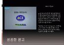 성공한 광고와 실패한 광고 (광고분석-에이스침대,라이코스,올림푸스 디지털 카메라,2%부족할때,미녀는 석류를 좋아해,하우젠  세탁기,델몬트  따봉 주스,래미안,OB ICE,카이홀맨) 3페이지