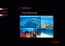 젊음의 도시 Cairns -해외 해안관광개발 사례(Cairns) 14페이지