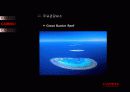 젊음의 도시 Cairns -해외 해안관광개발 사례(Cairns) 15페이지