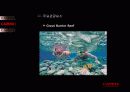 젊음의 도시 Cairns -해외 해안관광개발 사례(Cairns) 28페이지