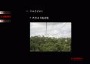 젊음의 도시 Cairns -해외 해안관광개발 사례(Cairns) 35페이지