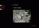 젊음의 도시 Cairns -해외 해안관광개발 사례(Cairns) 36페이지