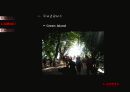 젊음의 도시 Cairns -해외 해안관광개발 사례(Cairns) 43페이지