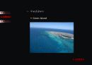 젊음의 도시 Cairns -해외 해안관광개발 사례(Cairns) 49페이지