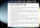 [지구온난화]불편한 진실, 지구온난화 - 지구온난화 현상의 발생 원인과 영향 및 피해, 기후변화 대처 방안 모색 22페이지
