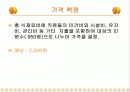 대학교 식단 작성 11페이지
