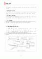 [국제경영] 성주그룹 mcm 전략경영 25페이지
