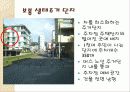 환경수도 프라이부르크 8페이지